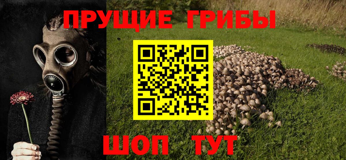 Лангепас  Галлюциногенные грибы GOLDEN TEACHER  Вход с VPN 