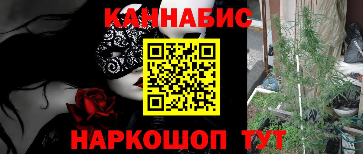 Бошки Шишки план  Шишки марихуана марихуана  Вход с VPN  Бошки марихуана White Widow  Лангепас  Канабис тримм 